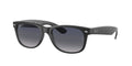 New wayfarer