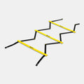 SKLZ QUICK LADDER PRO