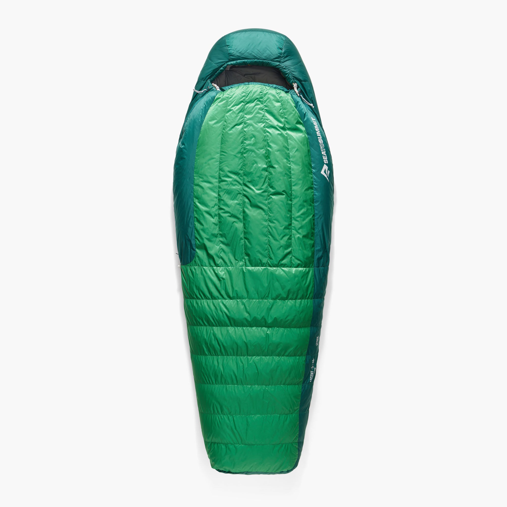 Ascent Down Sleeping Bag -1C|30F - Regular Rain Forest