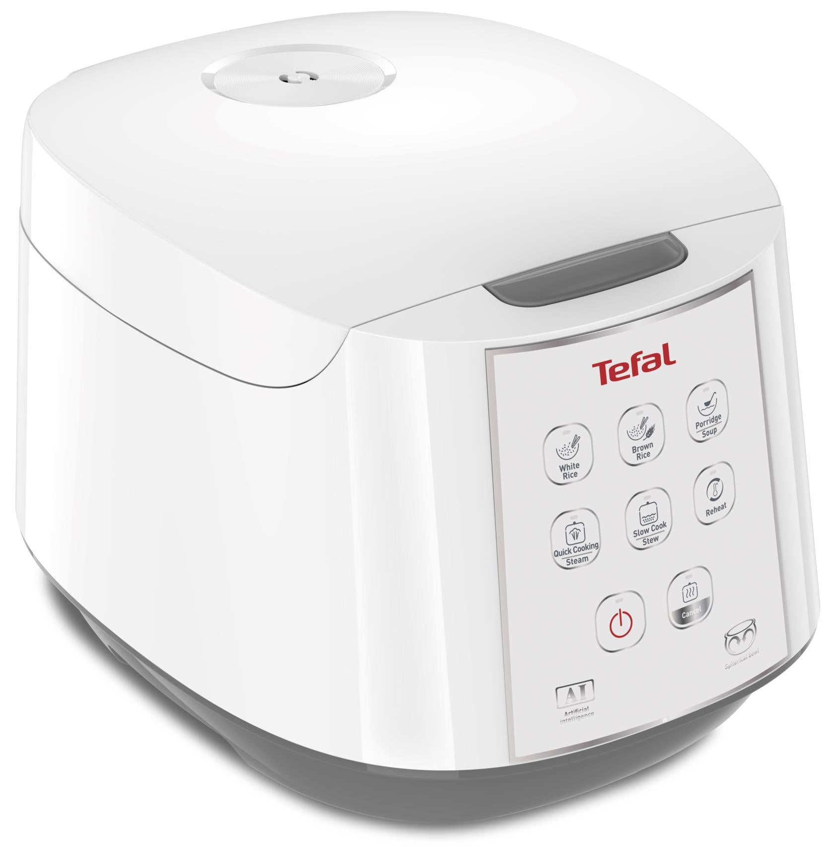 Tefal Easy Rice & Slow Cooker