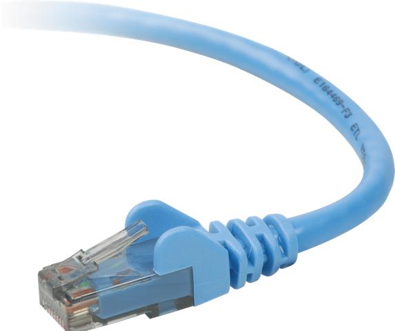 Belkin CAT6 Snagless Molded Patch Cable (1 Metre)