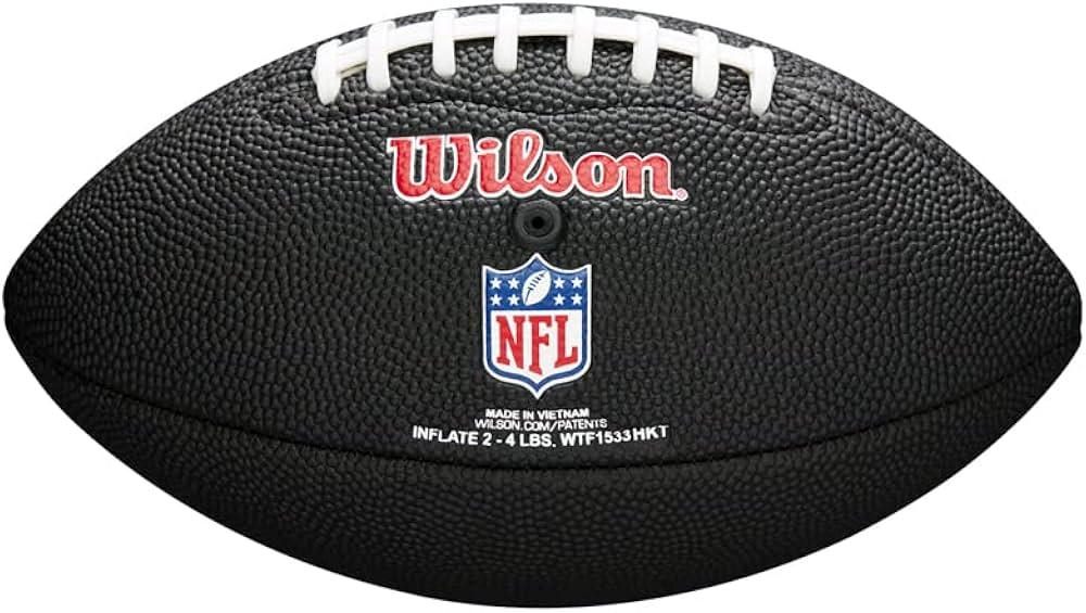 NFL MINI TEAM LOGO FOOTBALL