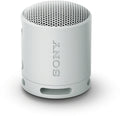 Sony SRS-XB100 Compact Wireless Bluetooth Speaker (Grey)