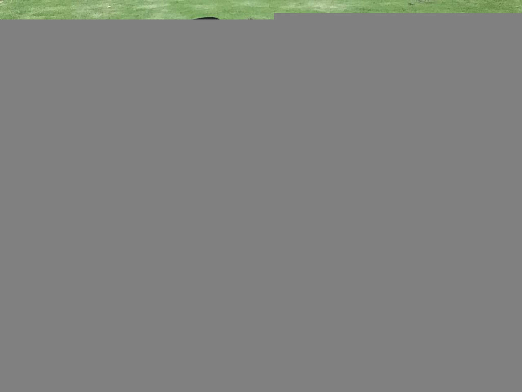 YES4PETS Medium Blue Pet Dog Cat Dogs Puppy Rabbit Tent Soft Playpen