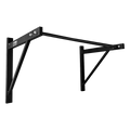 Wall Mounted Pull Up Bar