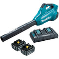 Makita Turbo Blower 36VDUB362PT2 Kit