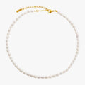 Freshwater Pearl Choker - Gold Colour