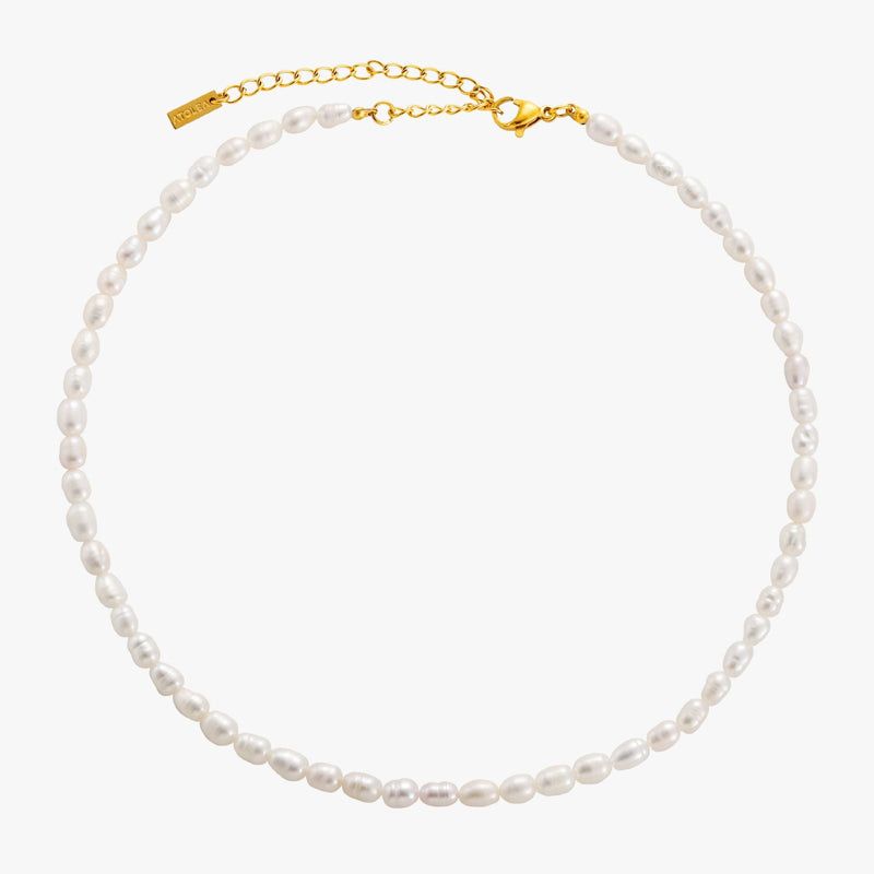 Freshwater Pearl Choker - Gold Colour