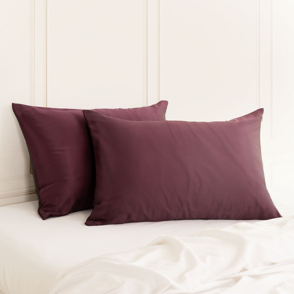 Royal Comfort Mulberry Soft Silk Hypoallergenic Pillowcase Twin Pack