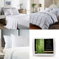 Royal Comfort and Casa Decor Quilt Sheet and Pillow Set Queen